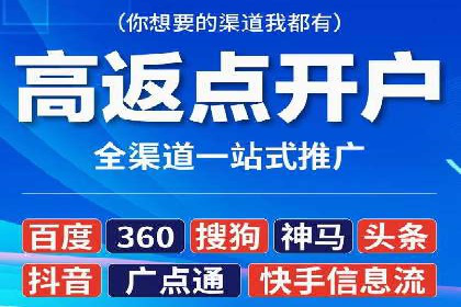 竞价排名的投放策略与效果评估案例